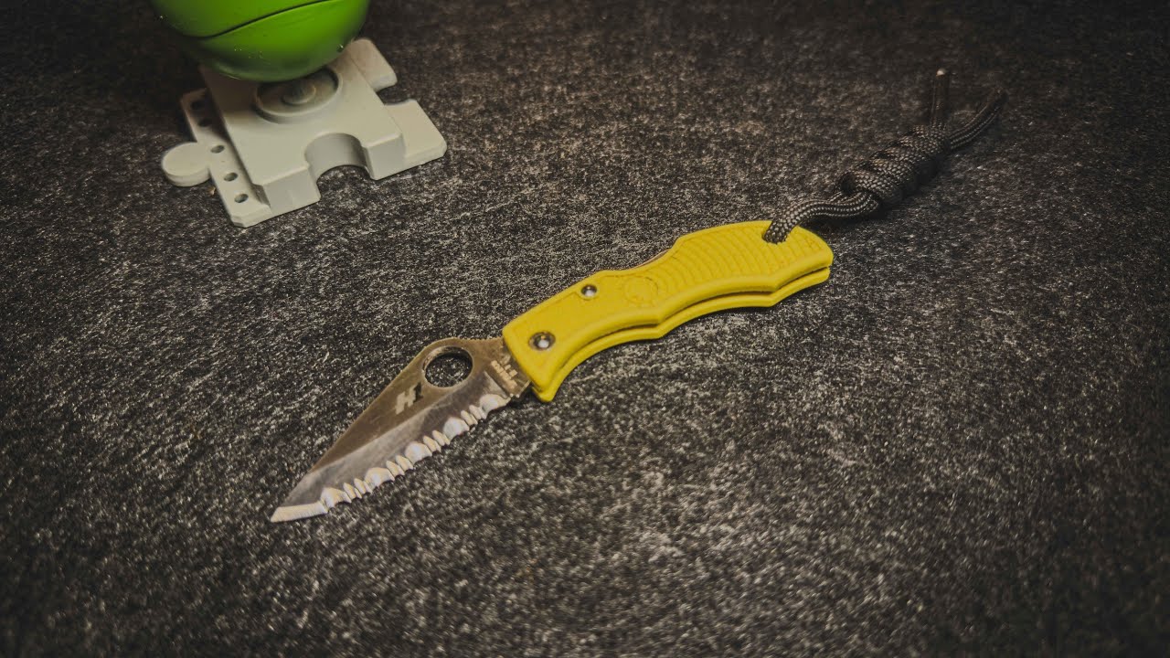Messer-Montag: Spyderco LadyBug Salt Welle LYLS3 / Klein und maßlos!
