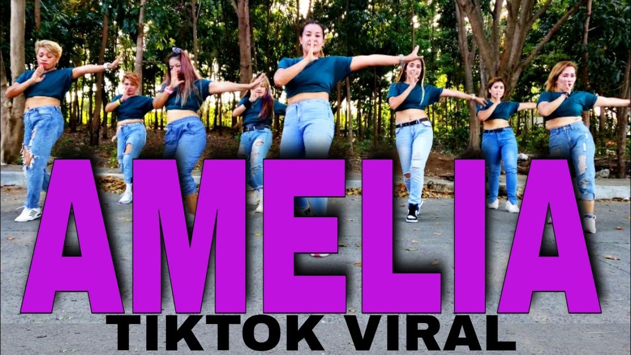 Amelia - Tiktok Viral | Dj Gibz | Dance Workout | Kingz Krew
