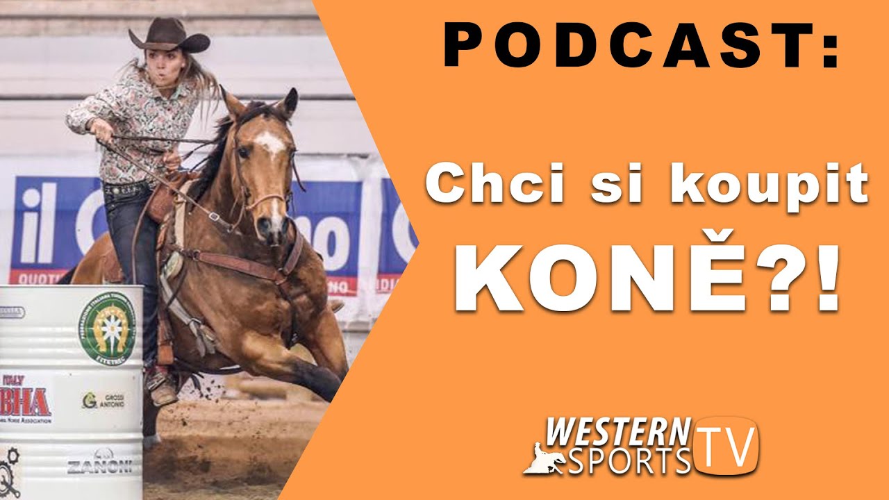 Chci si koupit koně!?