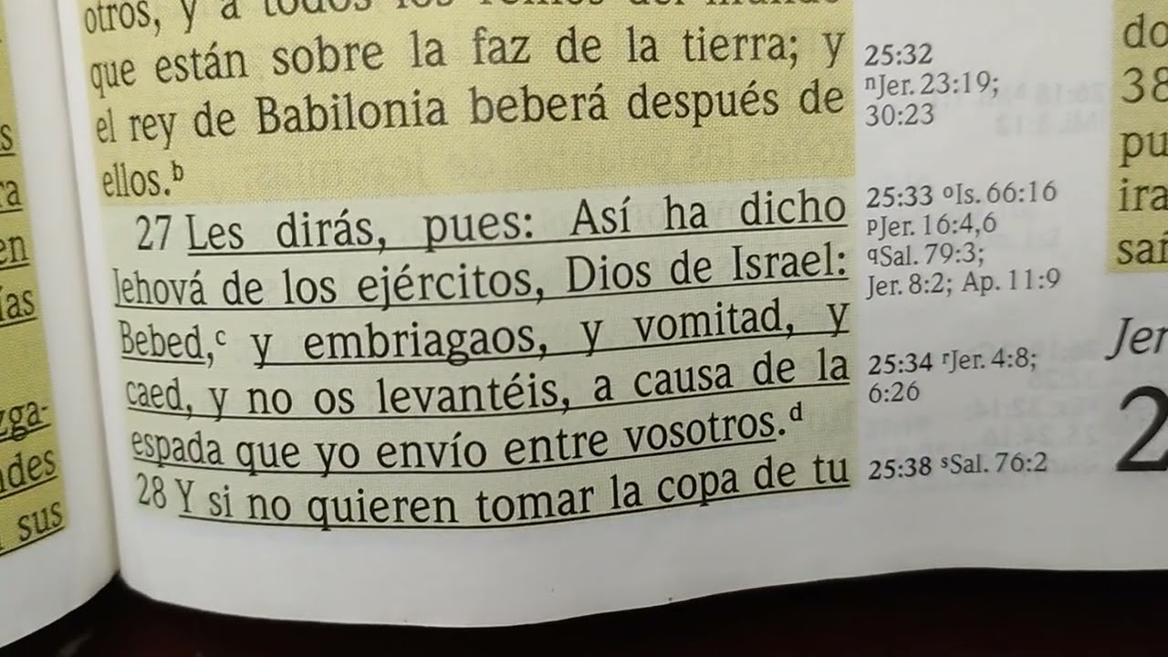 Copa de ira sobre las naciones. Lectura Biblica JEREMIAS capitulo 24 y 25