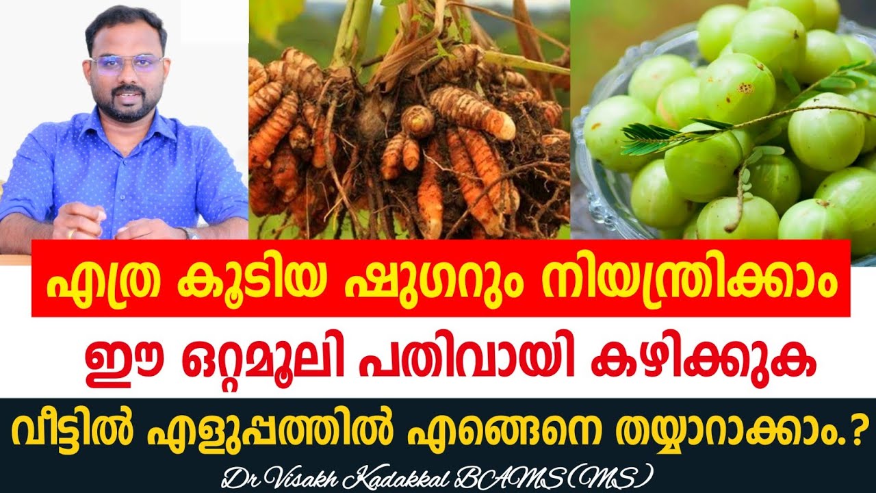 ഷുഗർ നിയന്ത്രിക്കാൻ ഒറ്റമൂലി മരുന്ന് | വെറും നെല്ലിക്കയും മഞ്ഞളും കൊണ്ടൊരു അത്ഭുതം | Dr Visakh