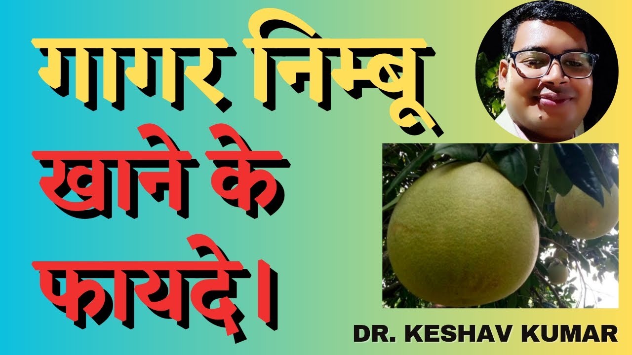 #गागर निम्बू खाने के फायदे #विटामिन का खजाना #आंखो के लिए बेहतरीन #gagarnimbu #निम्बू #nimbupani