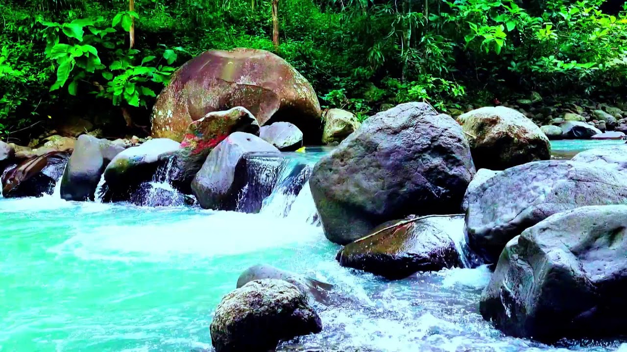 Soothing River and Chirping Birds ASMR: Natural Therapy for Deep Sleep Mindfulness & Focus