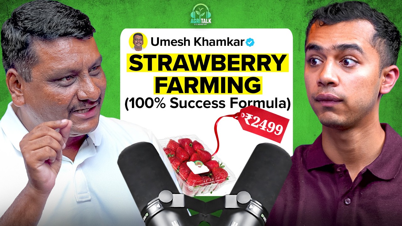 STOP! Strawberry Farming Business Model Explained | Agritalk by Abhinav Roy
