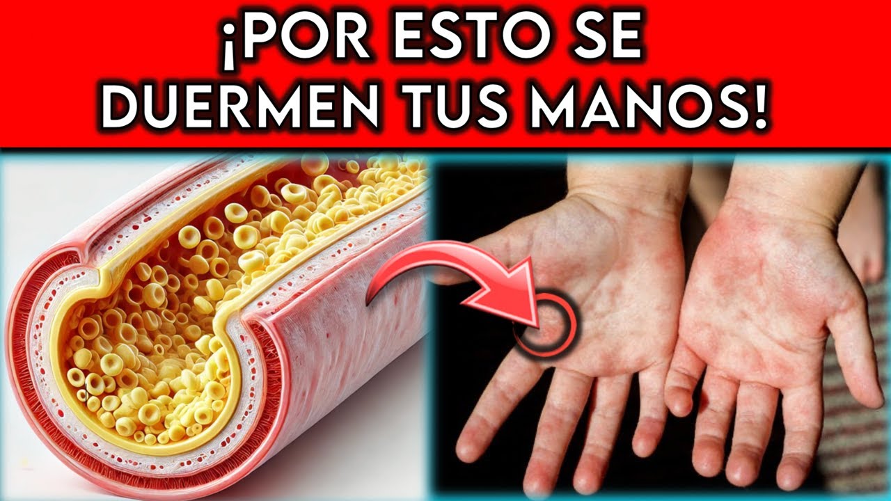 7 RAZONES por la que se DUERMEN las MANOS || &iexcl;CUIDADO CON ESTO!