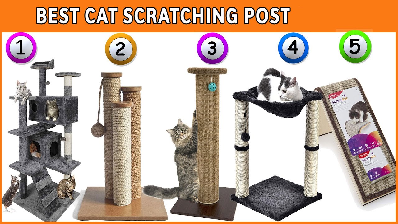 Best Cat Scratching Post - Top Cat Tree Reviews