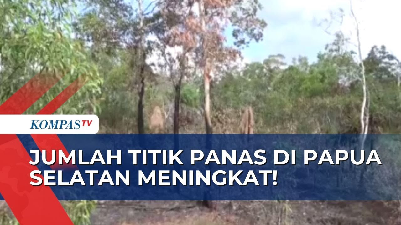 BMKS Sebut Ada Peningkatan Jumlah Titik Panas di Papua Selatan Dalam 4 Hari Terakhir!