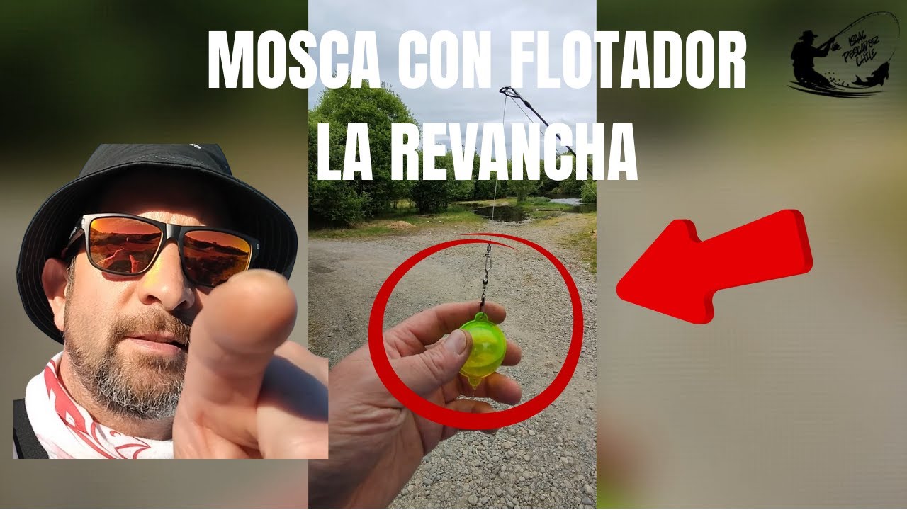 Pesca con mosca SIN caña de mosca 🎣, Truchas en el río Llollelhue (Spinning + flotador)