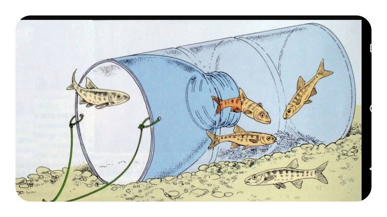 TRAMPA PARA PECES FACIL CASERA Y SENSILLA