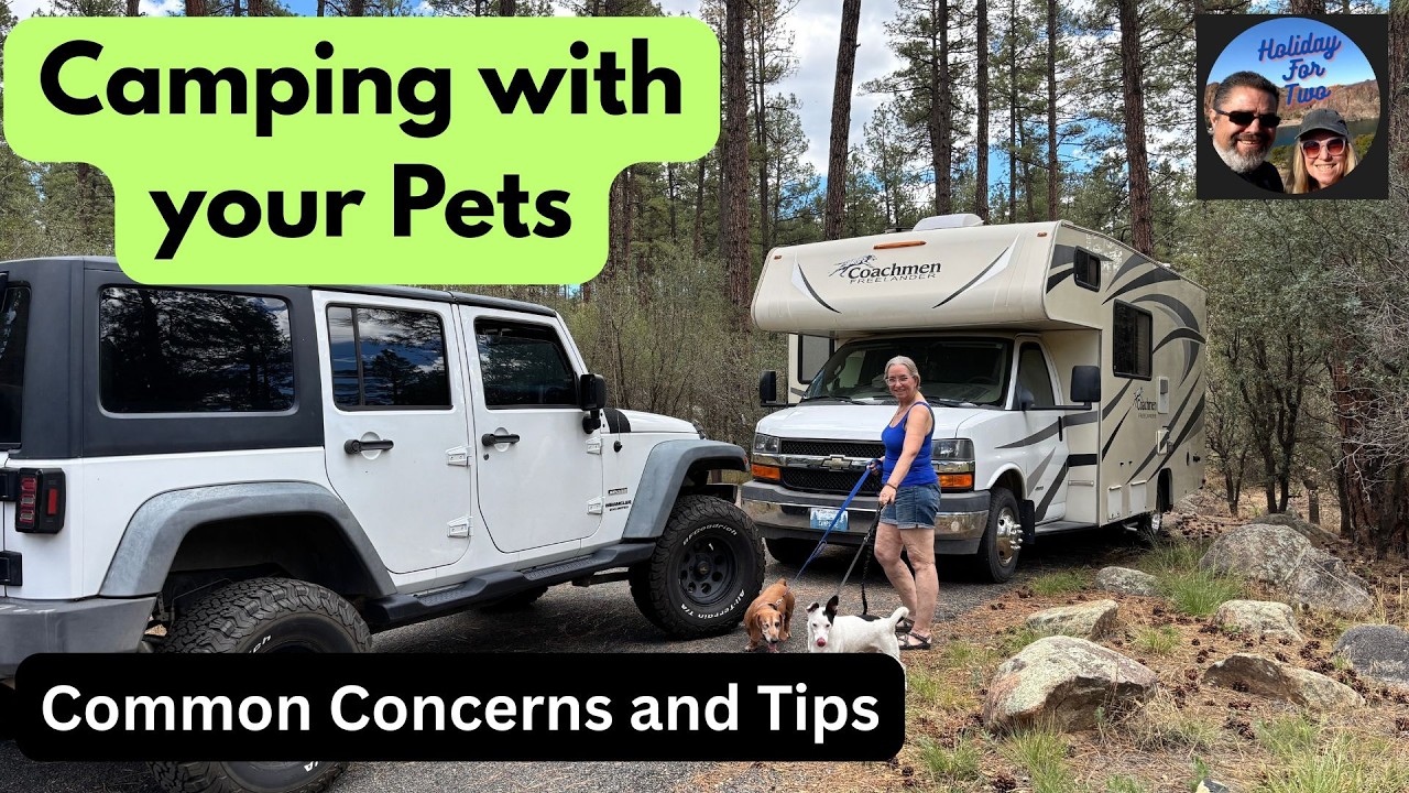 Кемпинг с домашними животными