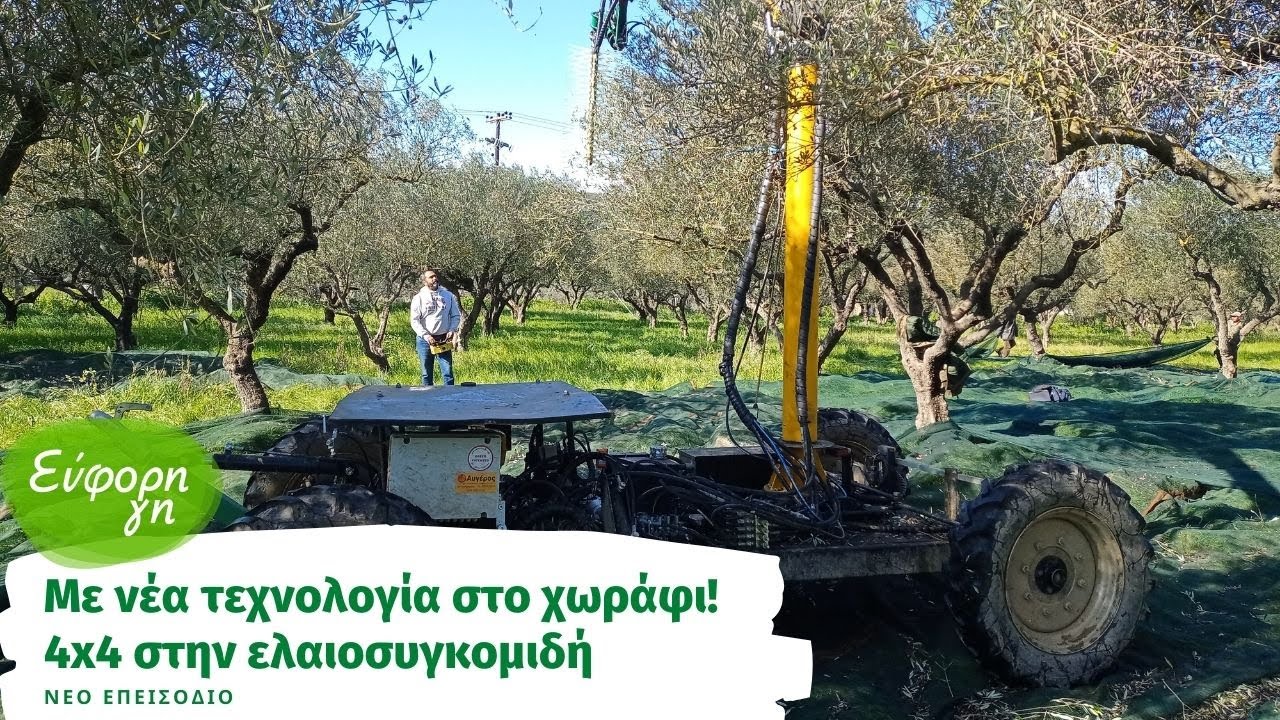 Πατέντα που αλλάζει τα πάντα στην ελαιοσυγκομιδή