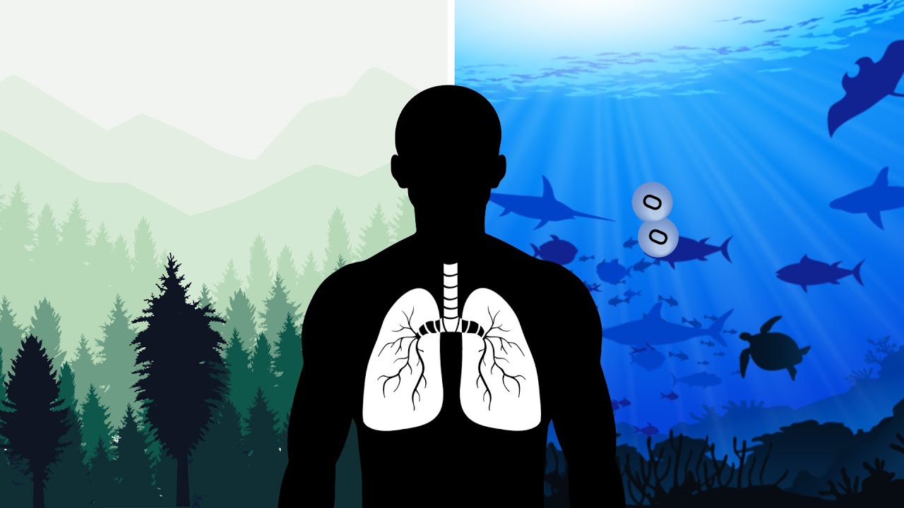 Our Blue Planet: We Depend on the Ocean. NOAA Is Working to Protect It.