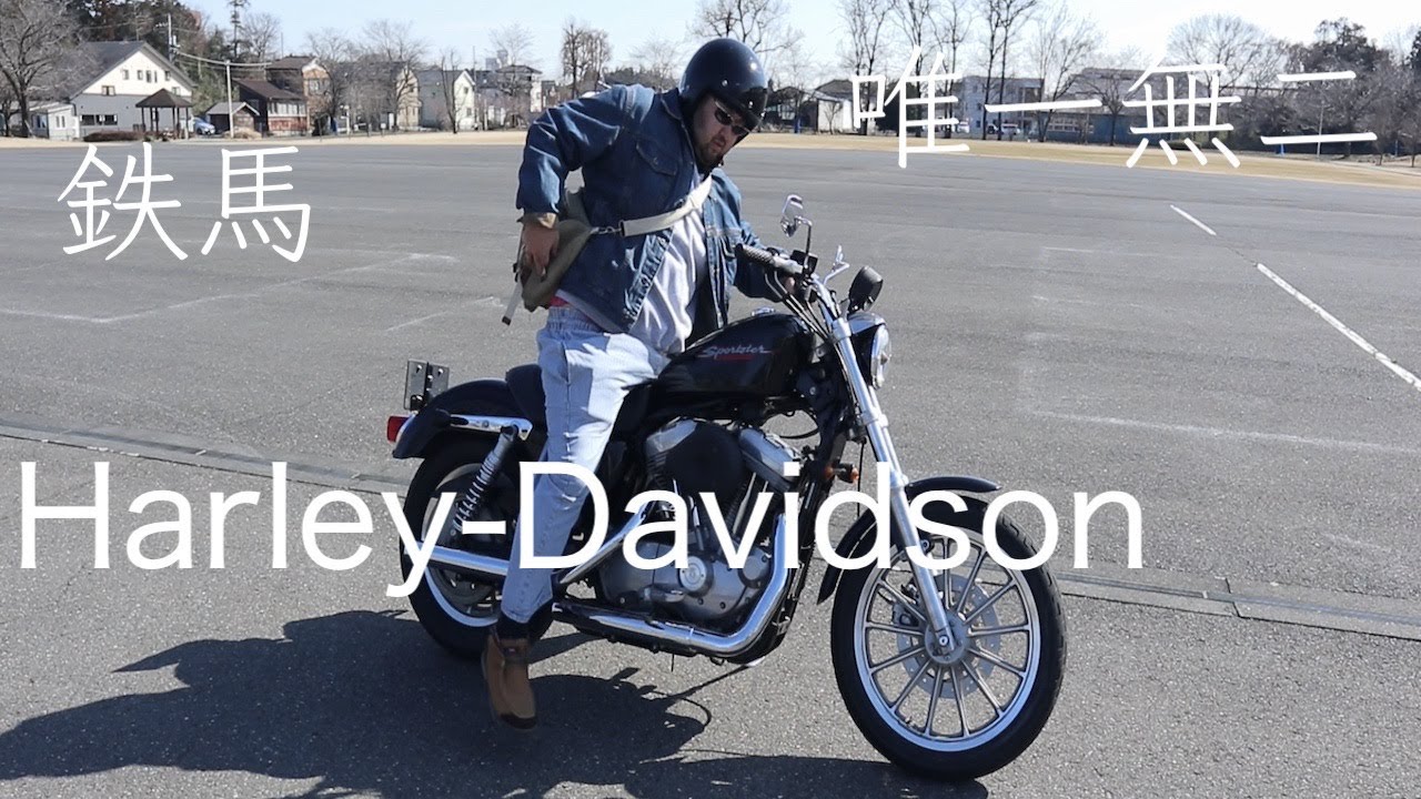 鉄馬 Harley-Davidson買ったマジで唯一無二なバイク