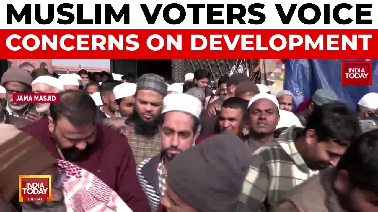 Delhi's Muslim-Dominated Seats: Decoding Development Concerns Vs Religious Sentiments In Elections