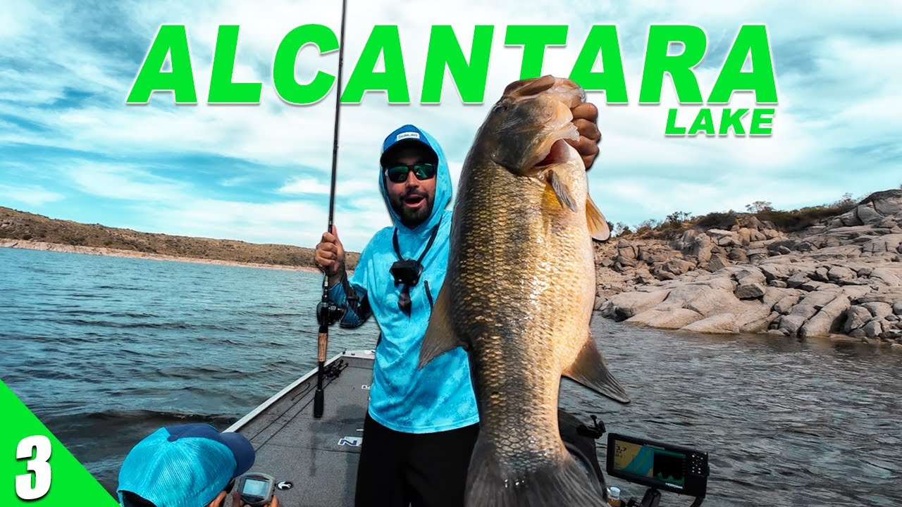 Localizamos BASSES GRANDES para la COMPETICIÓN! | Black Bass en Alcántara