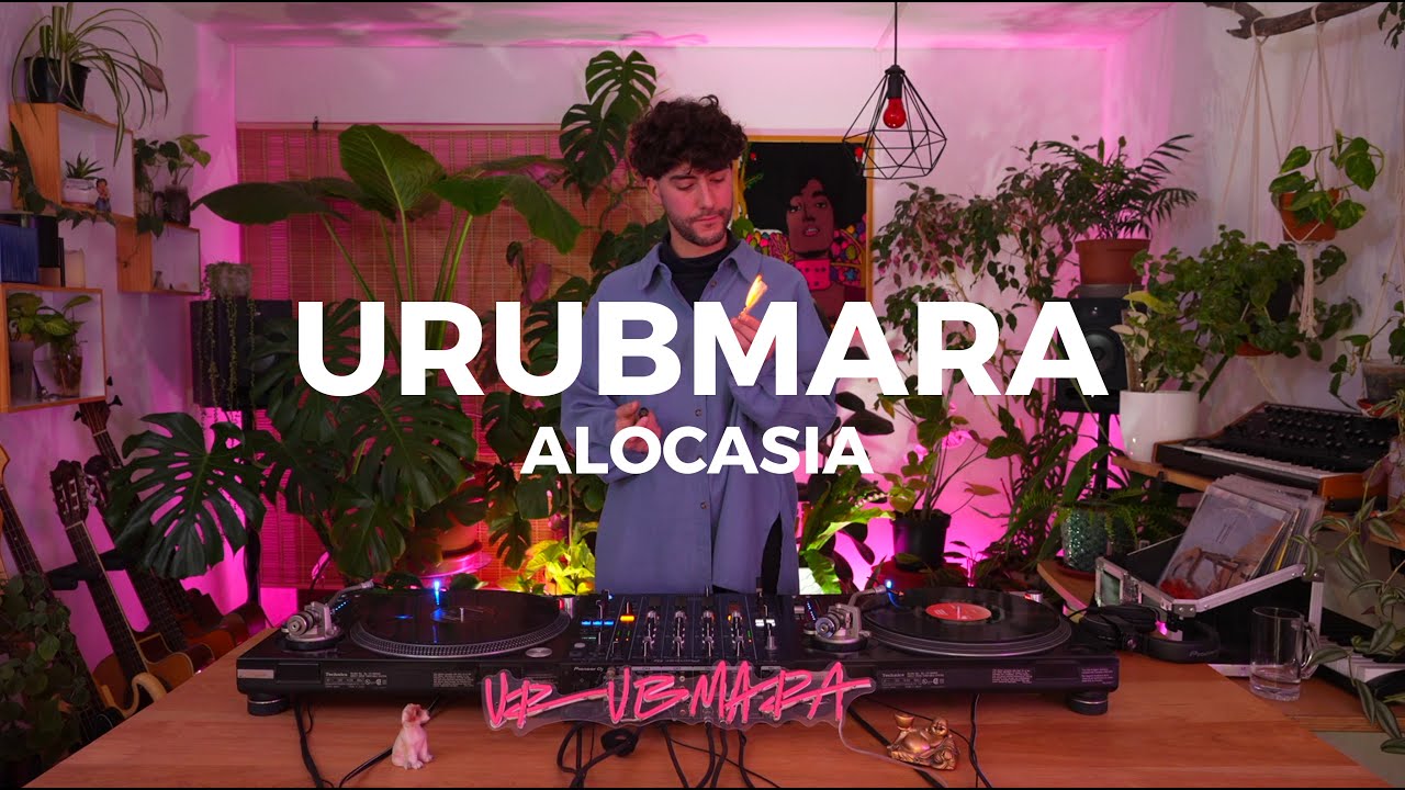 Alocasia TV Santiago - Urubmara [Vinyl Set] #house #minimal #techno
