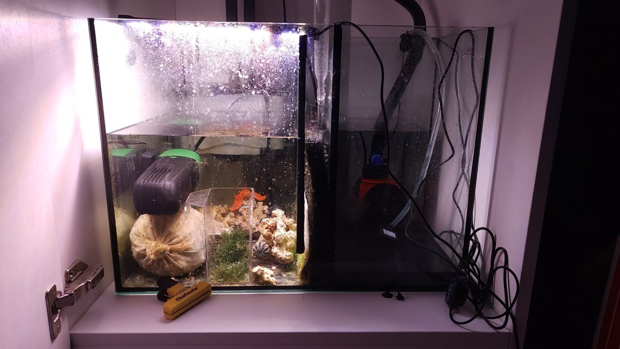 Waterbox 60.2: SUMP CLEANUP