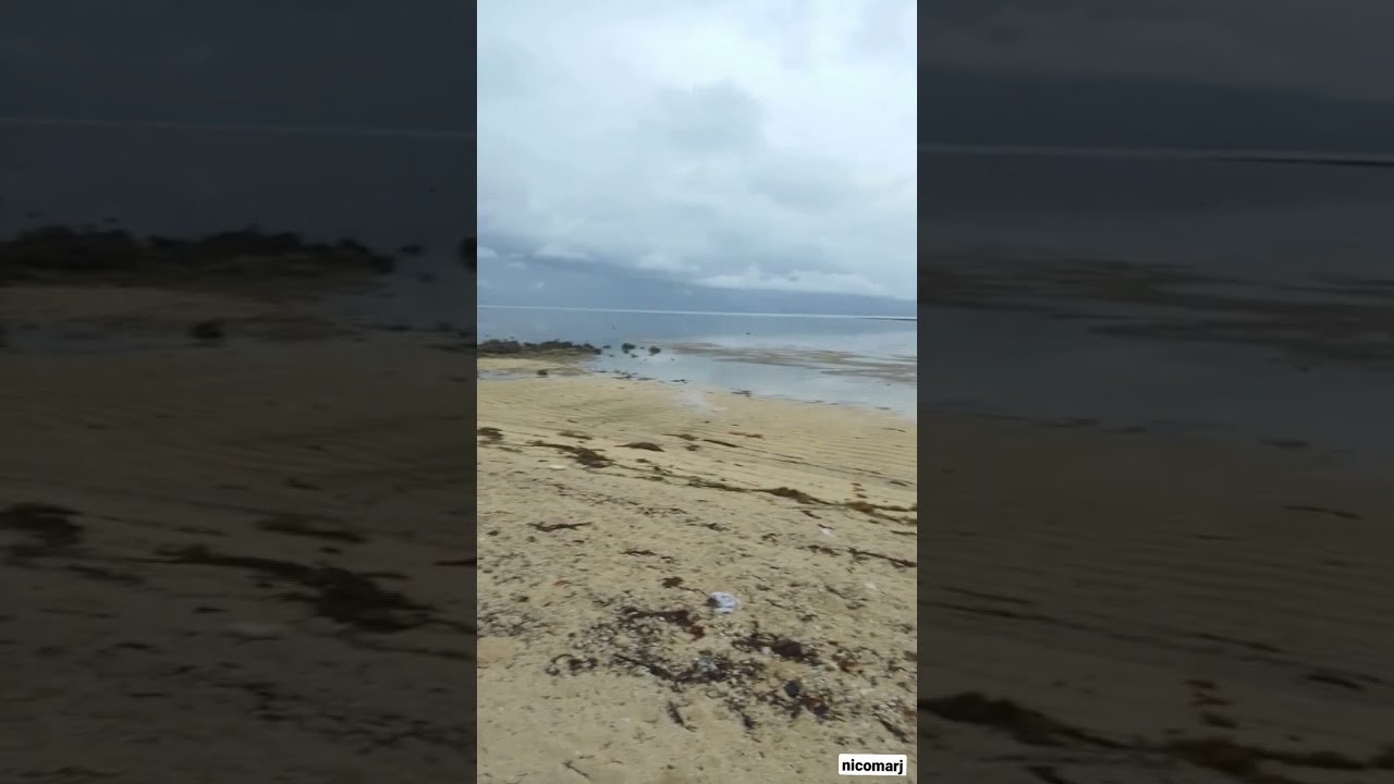 Watch Early morning in beach