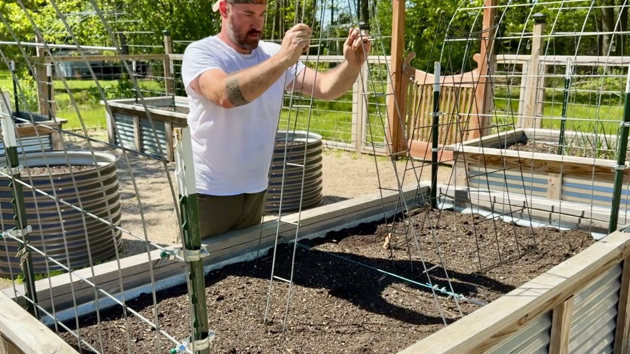 Garden Preparation for Spring // Create Blackberry Trellis // Bog life