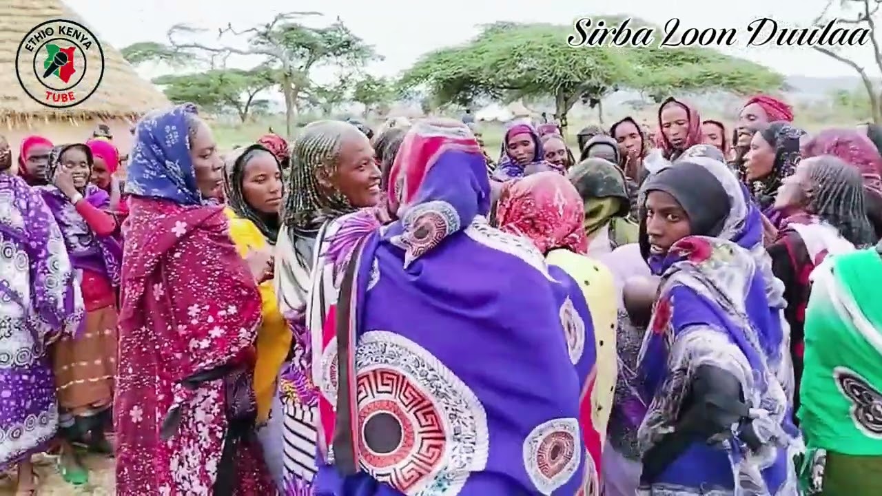 Sirba Loon Duulaa - Borana Traditional Song of Praising raising Heroes 