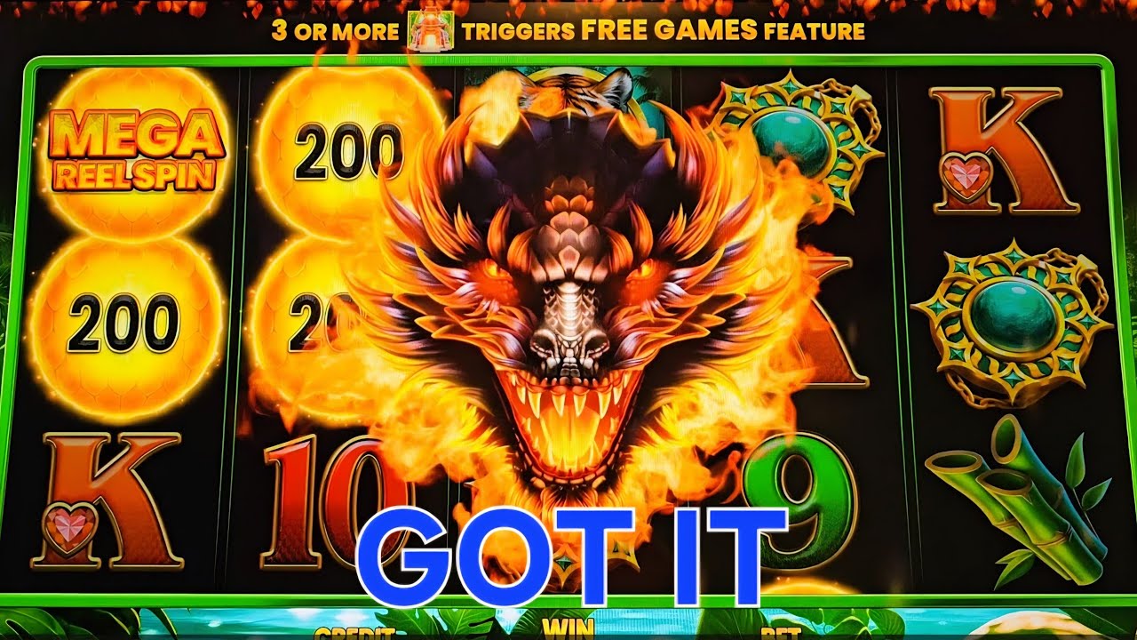 Fire Dragon: Jade Kingdom, Power Panther: Tiki Tiki and Thunder Empire: Amazon Hearts.