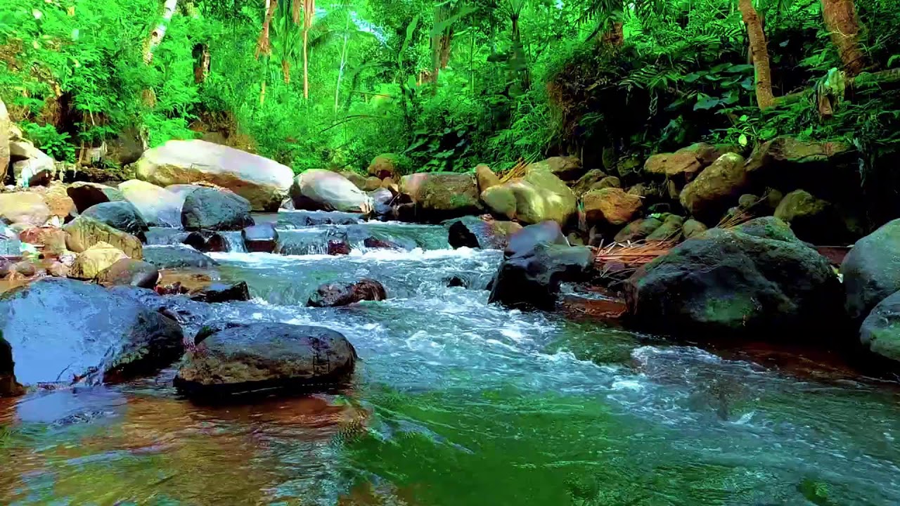 Flowing River Sounds for Deep Sleep and Relaxation | Peaceful Nature Ambience