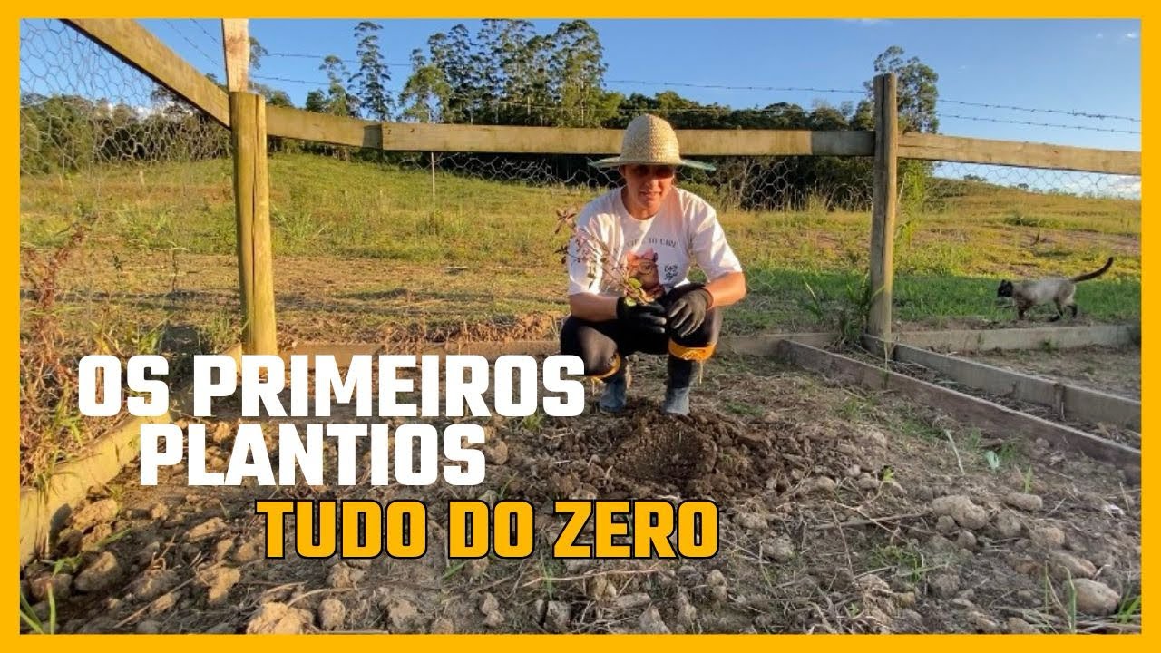 Os Primeiros Plantios | Horta do Zero 🌱 Vida no Sítio