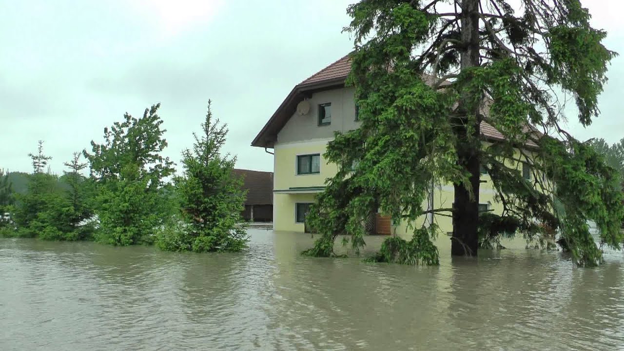 Hochwasser 2013 in Enns / Kronau