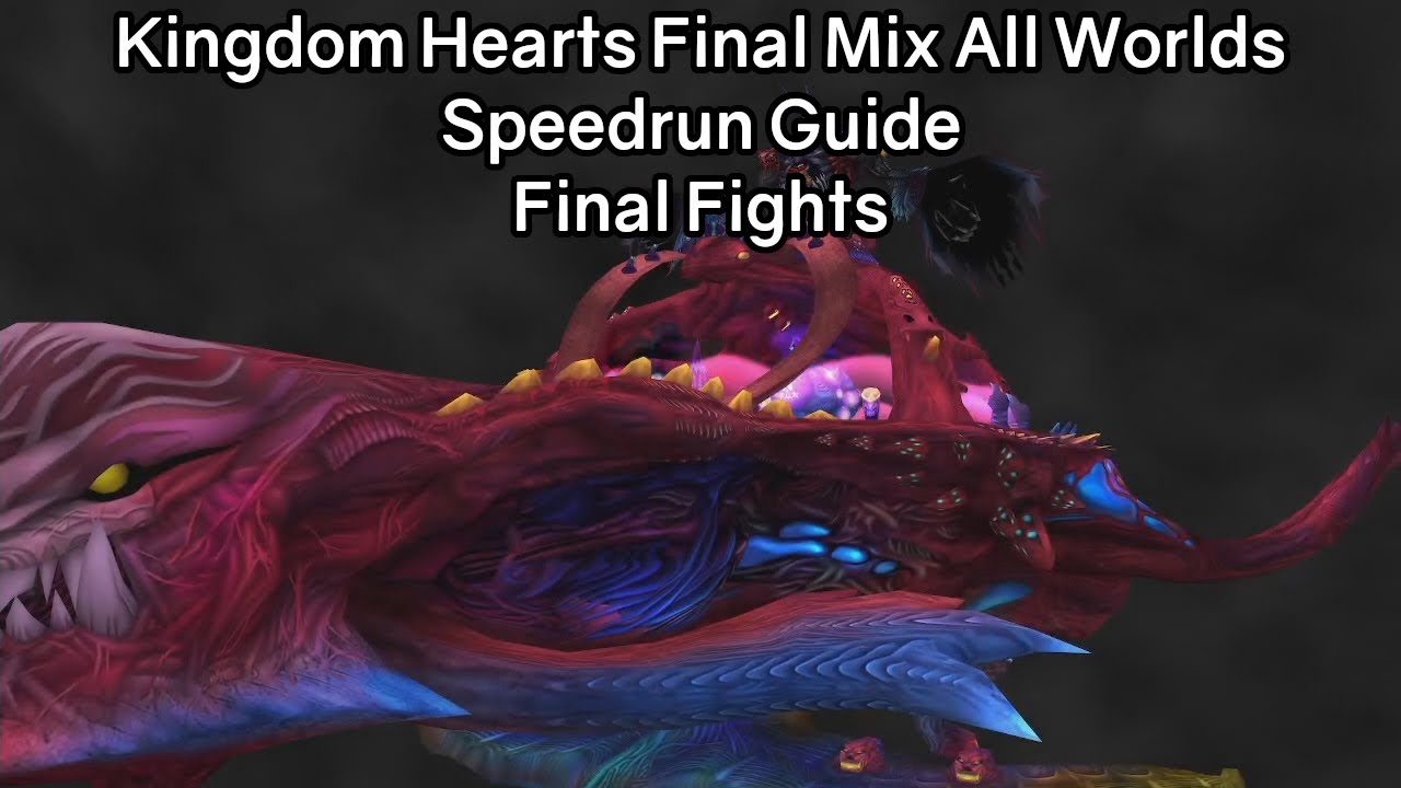 Kingdom Hearts Final Mix HD All Worlds Speedrun Guide - Final Fights