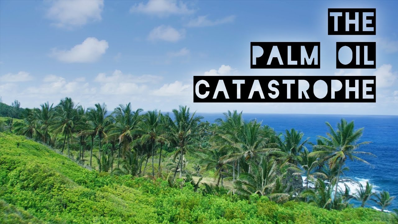The Palm Oil Catastrophe