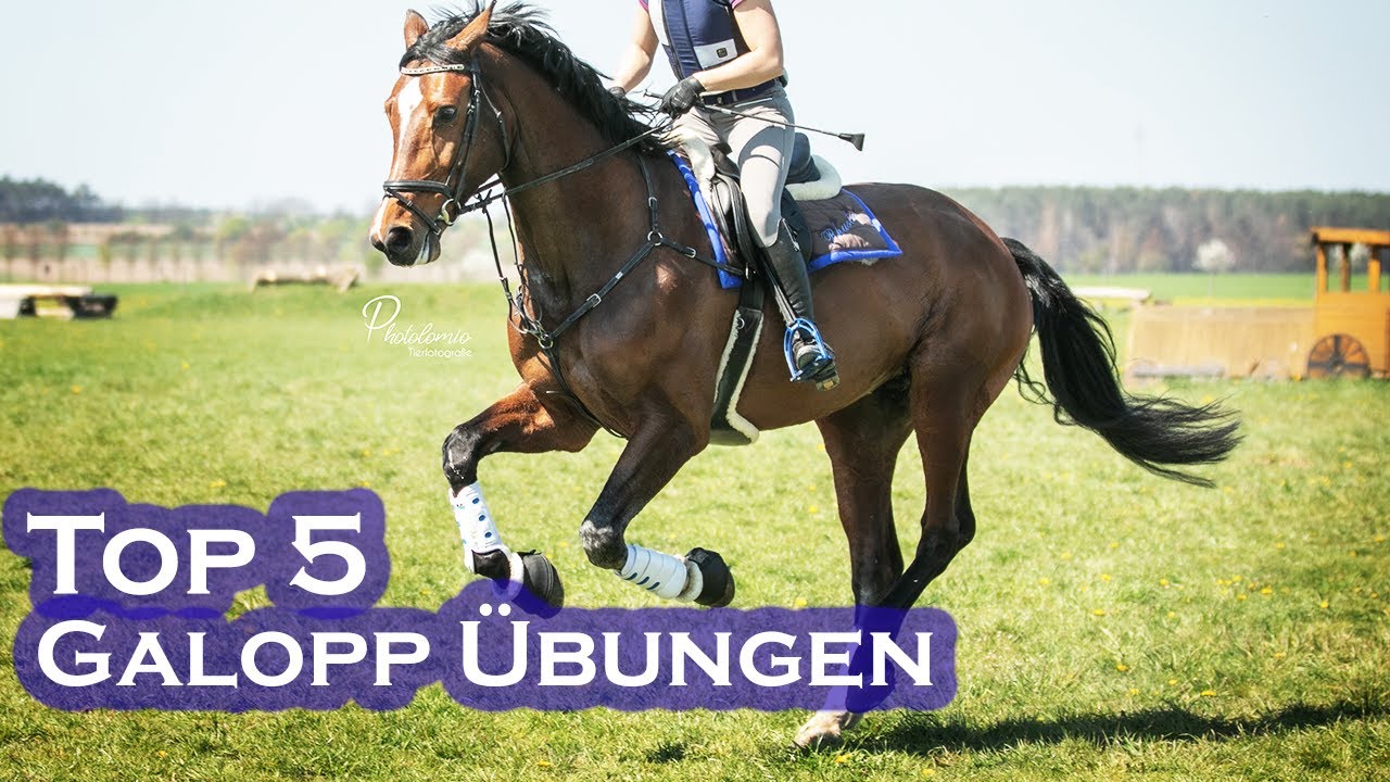TOP 5 Übungen für einen besseren GALOPP