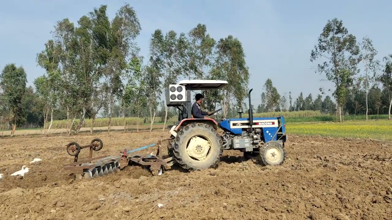 Apne anaconda khet mein chalte hue 🐍🐍🦅🦅