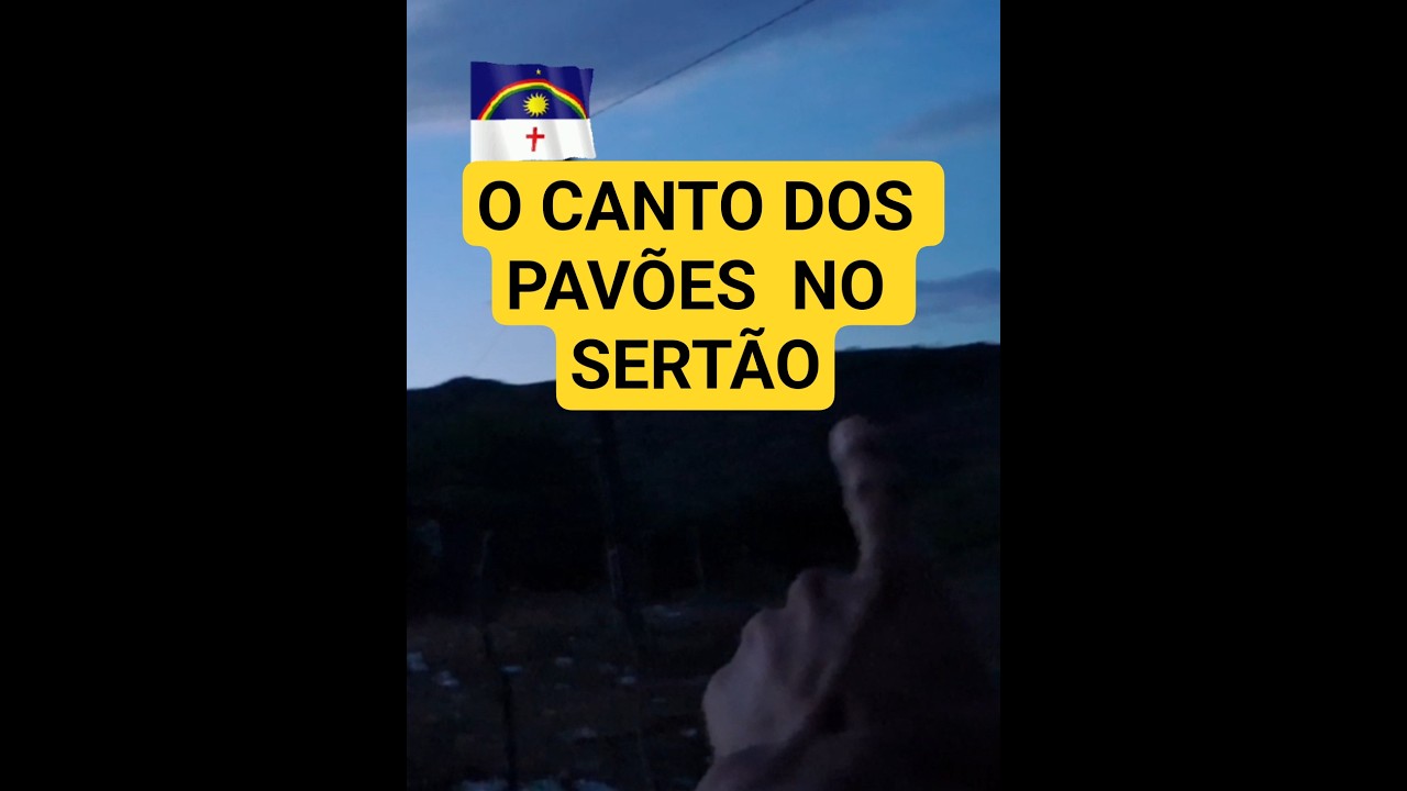 "SEU" BELINHO E OS PAVÕES DO SERTÃO