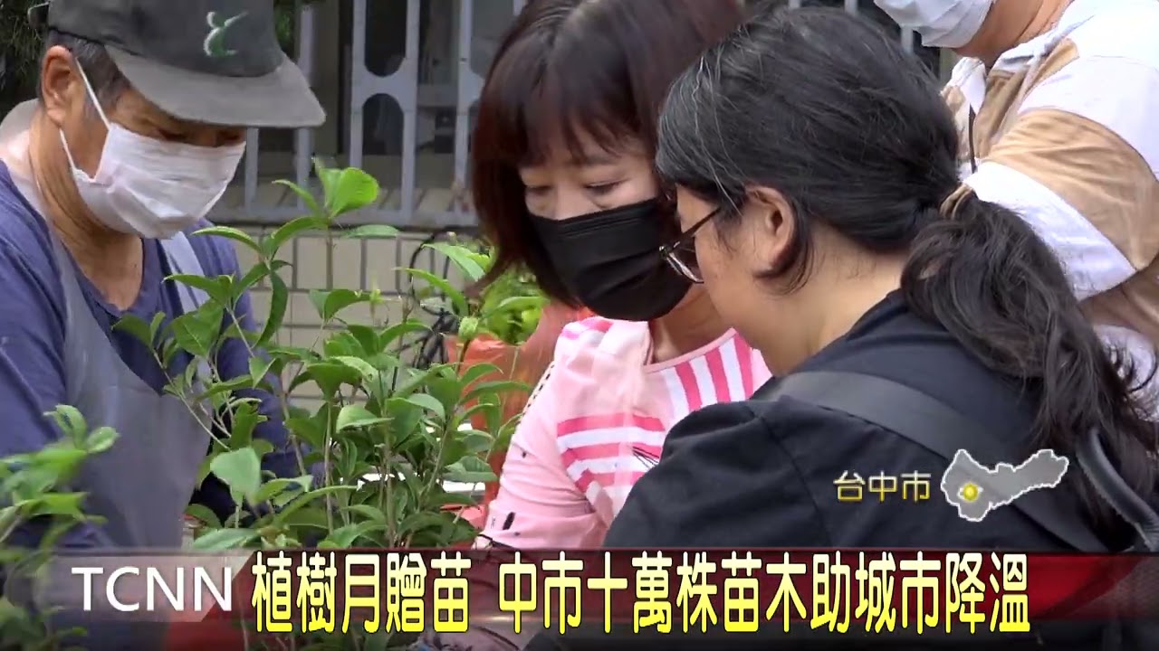植樹月贈苗 中市十萬株苗木助城市降溫-大台中新聞