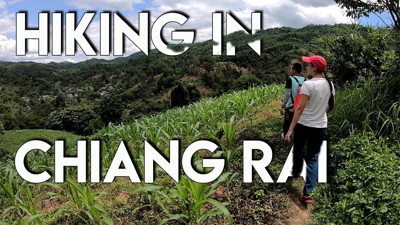 🔴 Hiking in Chiang Rai Travel Guide
