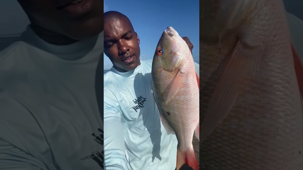 BIG Snapper (Bridge fishing in the Florida Keys)