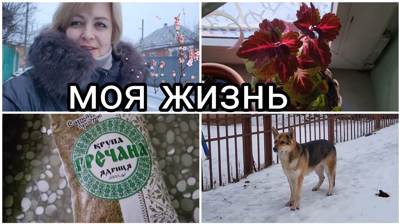 СЕМЬЯ ИЗ ХАРЬКОВА ‼️  СПАСЛА СОБАКУ✅️ КАК НЕ ГОВОРИ ВСЕ РАВНО НЕ ПОВЕРЯТ‼️