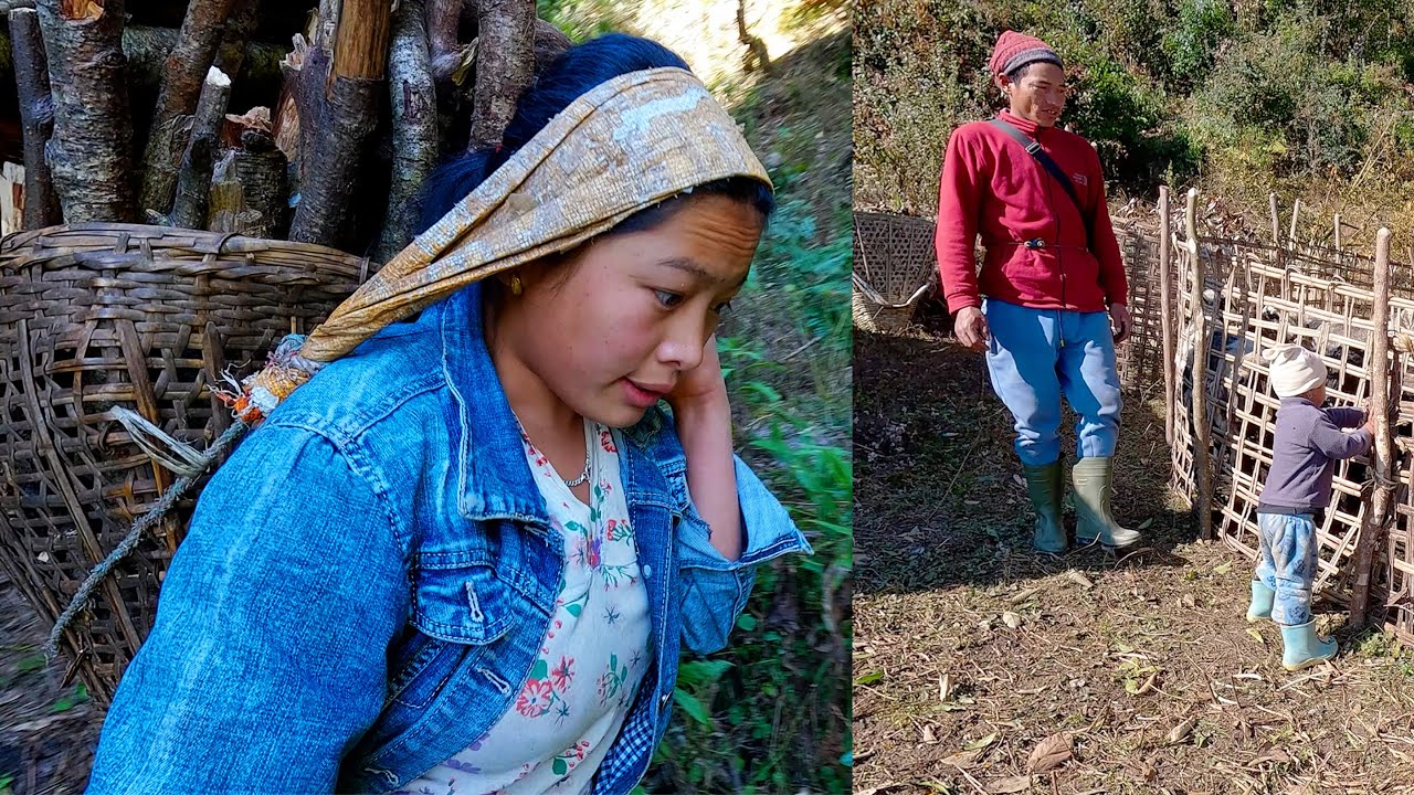 somuhang's family with sheep herd in the jungle || Himalayan life of Nepal ||