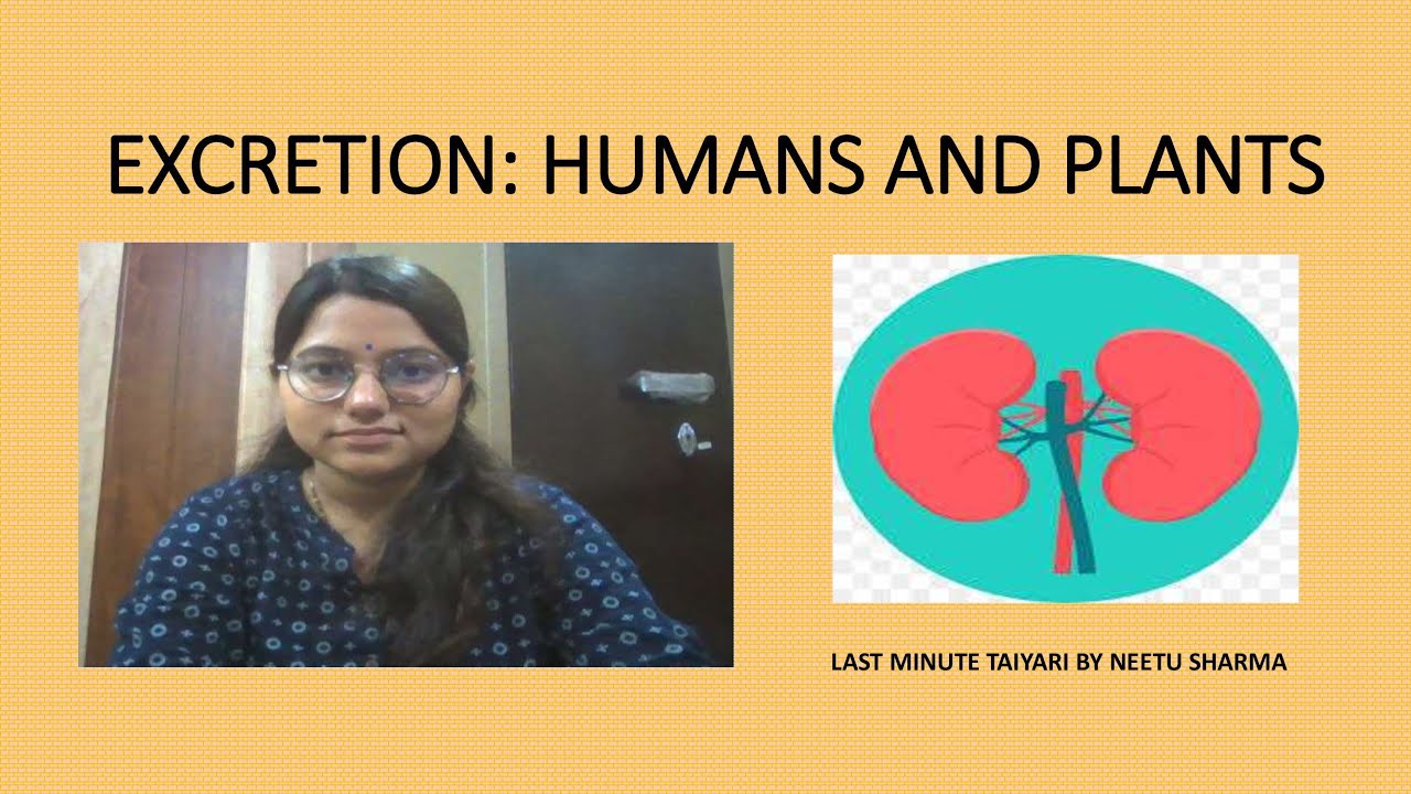 EXCRETION IN HUMANS AND PLANTS: CLASS 10