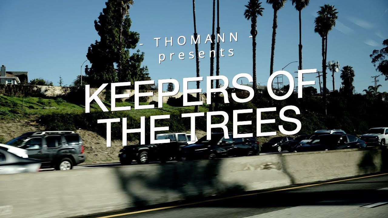 Taylor & West Coast Arborists: Keepers of the Trees | A Thomann Documentary