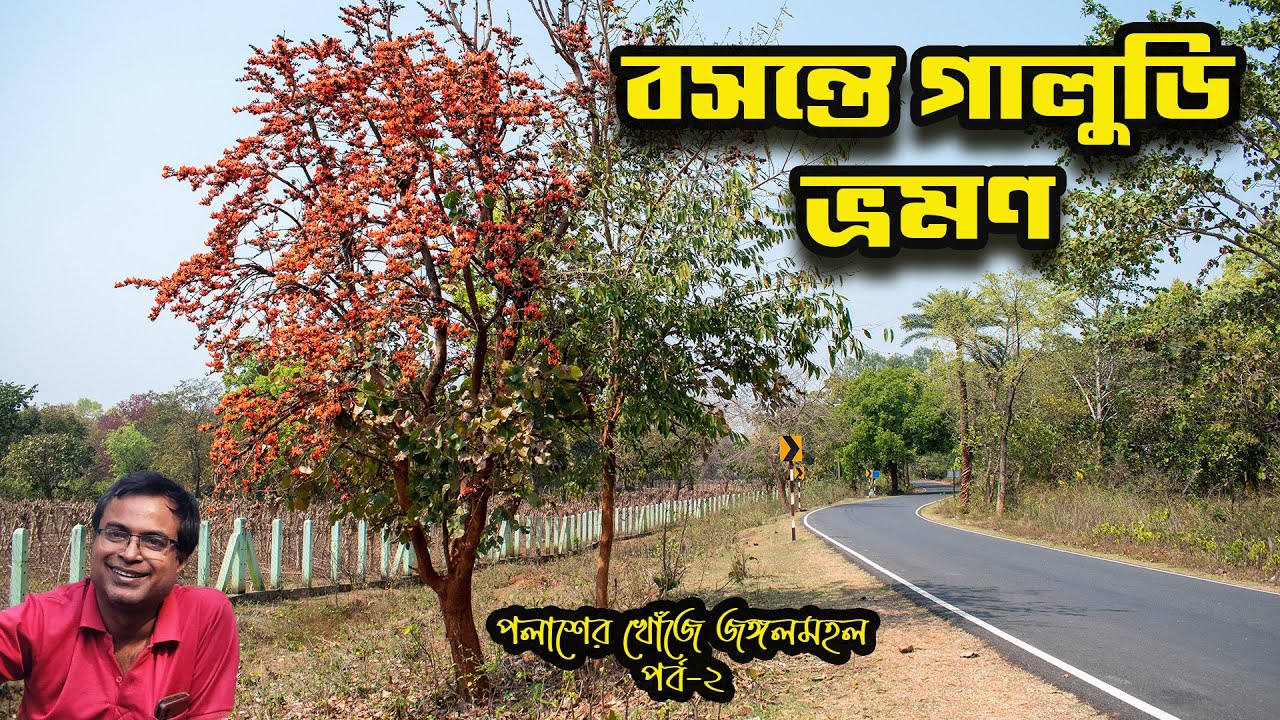 বসন্তে গালুডি ভ্রমণ || রঙ্কিনী দেবীর মন্দির || Galudih tour || Rankini temple || EP 2