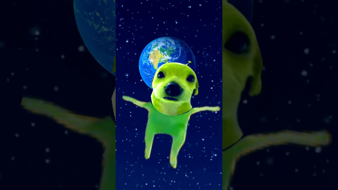 Ahlin pug in space