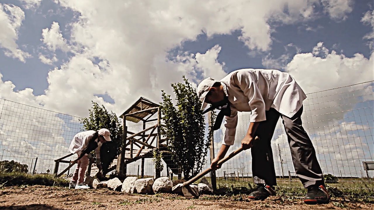 Escuelas Rurales - Puntas de Malbajar, Durazno