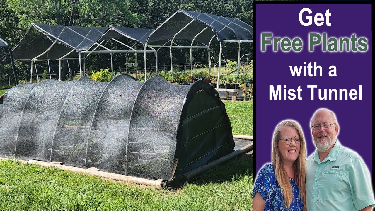 Get Free Plants With a Mist Tunnel