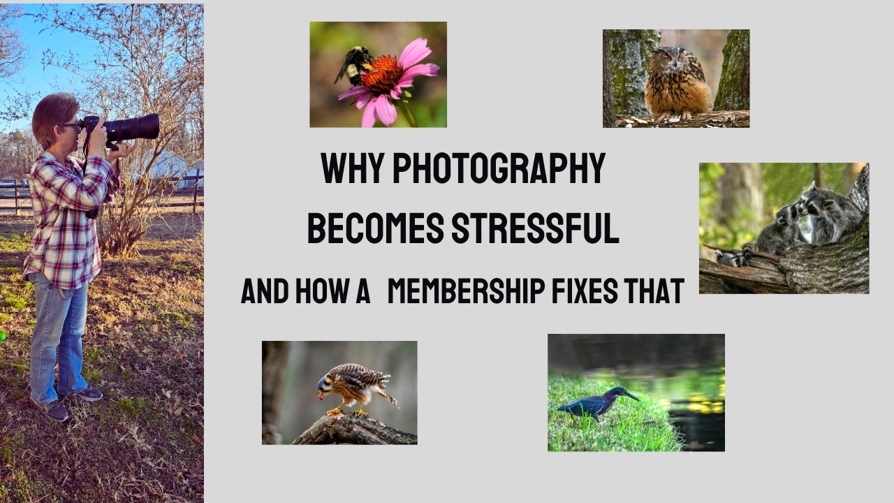 Learn How I Reduce stress in Photography