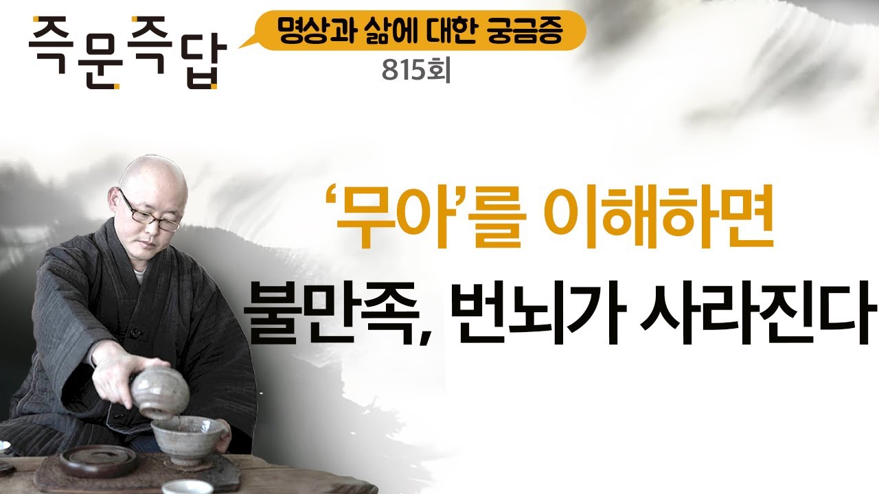‘무아’를 이해하면 불만족, 번뇌가 사라진다 l 명상 즉문즉답 815회 ㅣ혜안스님
