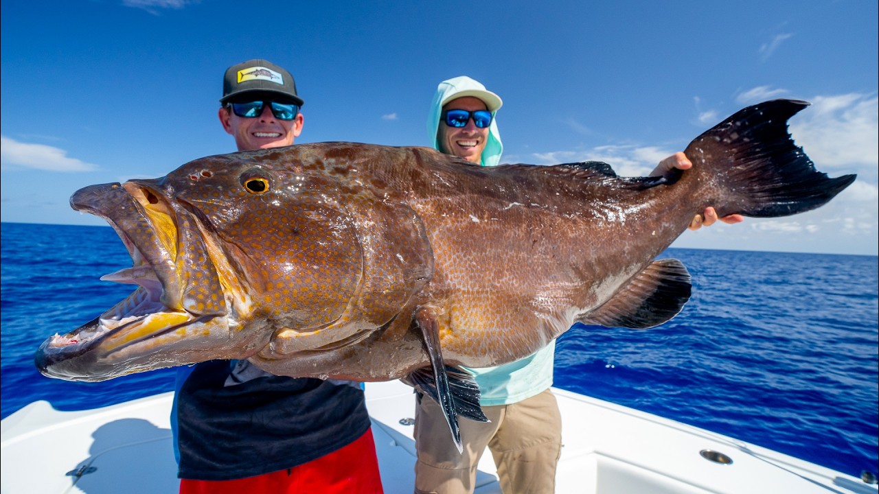 MASSIVE Black Grouper & Snapper! Catch Clean Cook