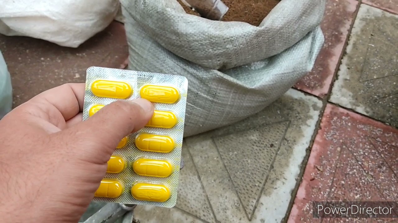 Toyuqlara qurd dərmanının verilmə qaydası