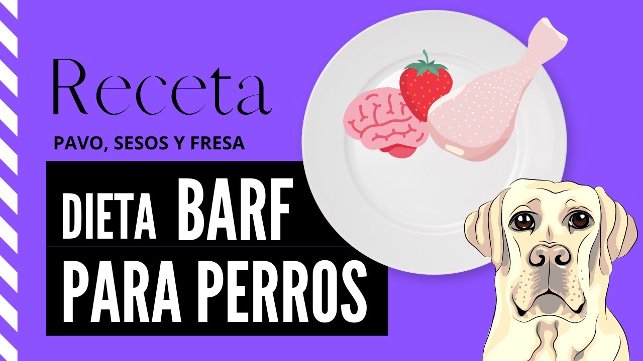 🥩 Dieta BARF:  #2 Receta para perros [Pavo y Pollo] 🦃🧠🐔 &iquest;C&oacute;mo hacer dieta BARF econ&oacute;mica?
