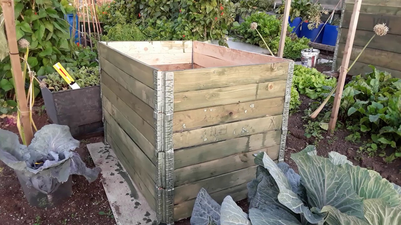 August Bank Holiday Tour Of Plot Three  🌻 Giant Vegetables 🌻 Pallet Collars, Fruit & Vegetables 🌻